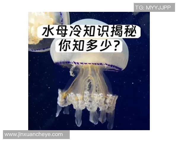 你不知道的VAR：十大冷知识大揭秘