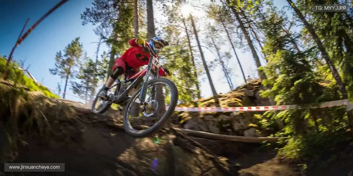 📱 实时比分、精彩回放，